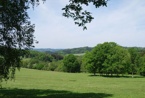 MyWay Klink Privatklinik Ausblick Standort Natur Rasen Bäume